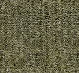 topic-community-background