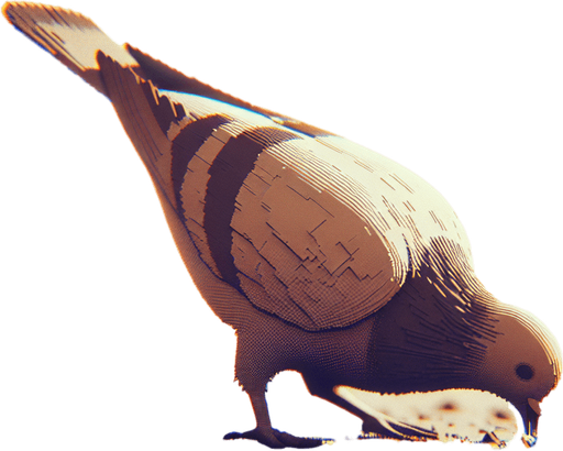 A pigeon pecking at the ground..
Single Game Texture.  In-Game asset.  2d.  Blank background.  High contrast.  No shadows