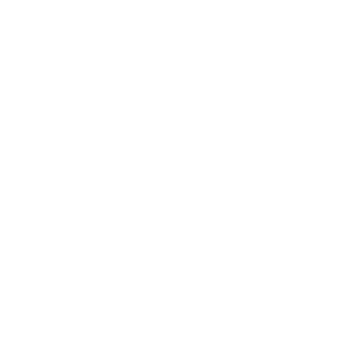 a womans head. No background. Transparent background. Blank background. No shadows. 2d. In-Game asset. flat