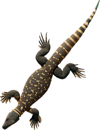 Goanna swimming top down view.
Single Game Texture.  In-Game asset.  2d.  Blank background.  High contrast.  No shadows