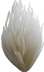 Long and thin white rice