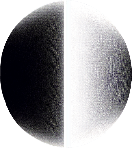 Elongated elipse with black top half and white bottom half.