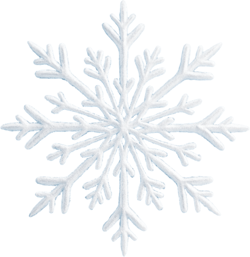 white snow flake