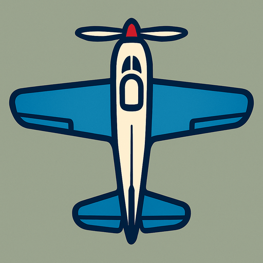 plane. from top side 

In-Game asset.  2d.  High contrast.  No shadows