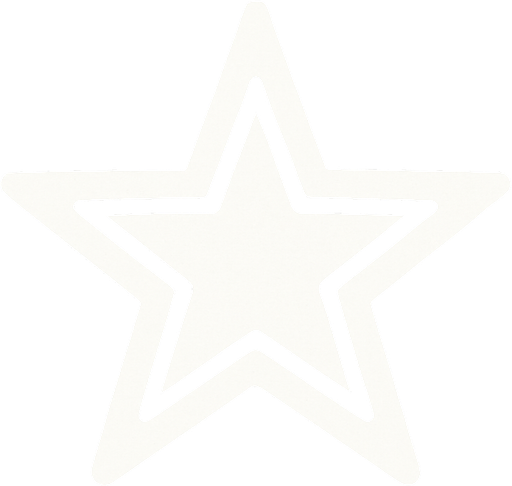 a white star.
In-Game asset.  2d.  High contrast.  No shadows