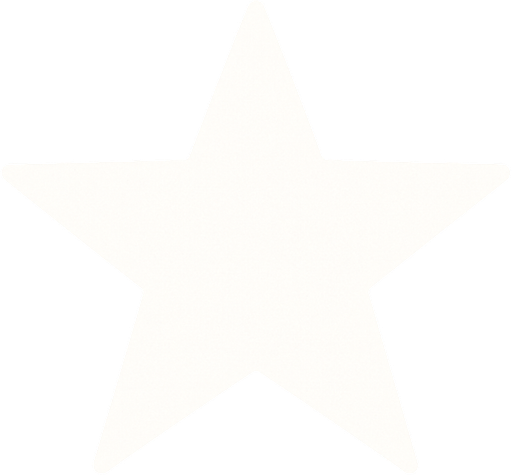 a white star.
In-Game asset.  2d.  High contrast.  No shadows