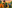 game-post-background
