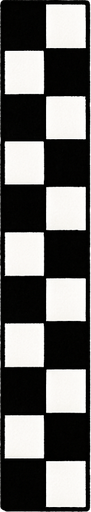 a line consisting of small squares in black and white is vertical from what happened at the races.
In-Game asset.  2d.  High contrast.  No shadows