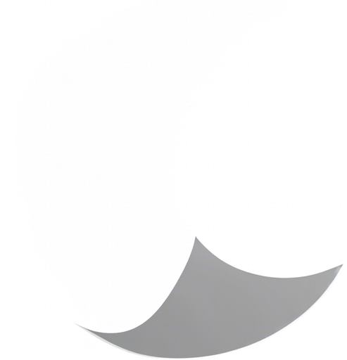 same image but all white
