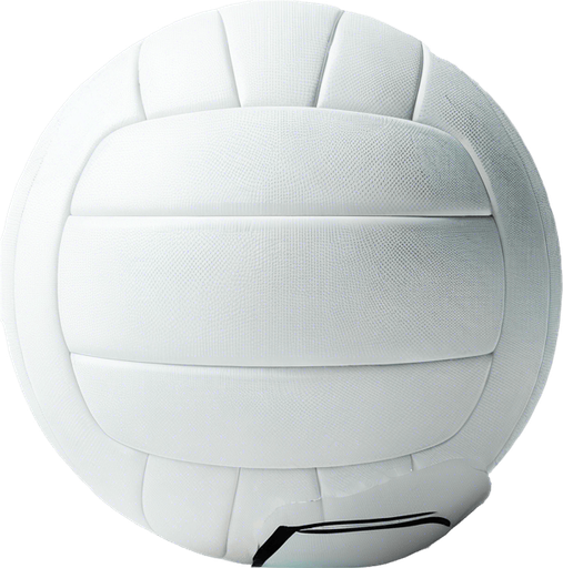 volley ball