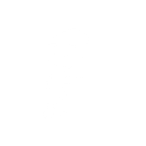 make a 8-bit knight. No background. Transparent background. Blank background. No shadows. 2d. In-Game asset. flat