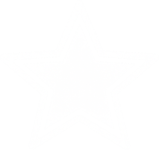 a white star.
In-Game asset.  2d.  High contrast.  No shadows