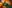 game-post-background