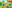game-post-background
