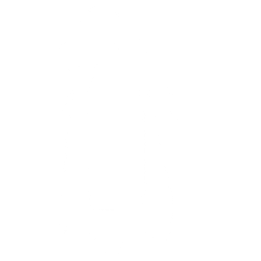 fire bullet. No background. Transparent background. Blank background. No shadows. 2d. In-Game asset. flat