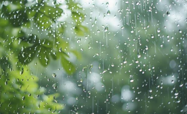 user-community-background