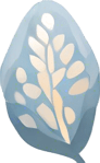Long thin grain of rice