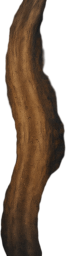 Dirt road at night, topview