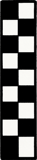 a line consisting of small squares in black and white is vertical from what happened at the races.
In-Game asset.  2d.  High contrast.  No shadows