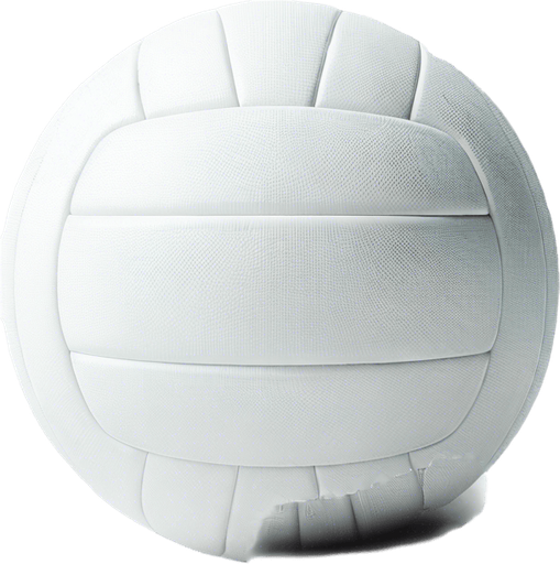 volley ball