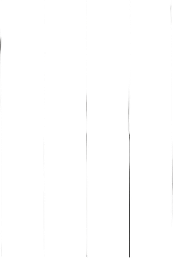 no perspective all parralel lines from birdswiew