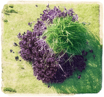 The same image, but in a lush green setting, where grass is growing in all the fields.