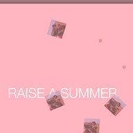 Thesummerraisers
