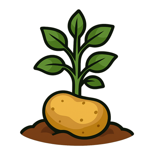 Potato growth stage 2.
In-Game asset.  2d.  High contrast.  No shadows
