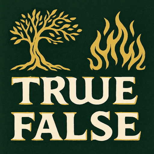 write TRUE and FALSE style is like Lord of the rings.
In-Game asset.  2d.  High contrast.  No shadows