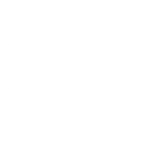 Brown ball (not basketball) . No background. Transparent background. Blank background. No shadows. 2d. In-Game asset. flat