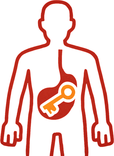 a drawing pic showing key is inside stomach of the body.red lines of the body!
In-Game asset.  2d.  High contrast.  No shadows
