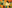 game-post-background