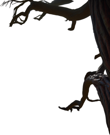 From the vantage point of a lofty tree branch, the world unfolds in a panoramic display of nature and human activity..
Single Game Texture. In-Game asset. 2d. Blank background. High contrast. No shadows.