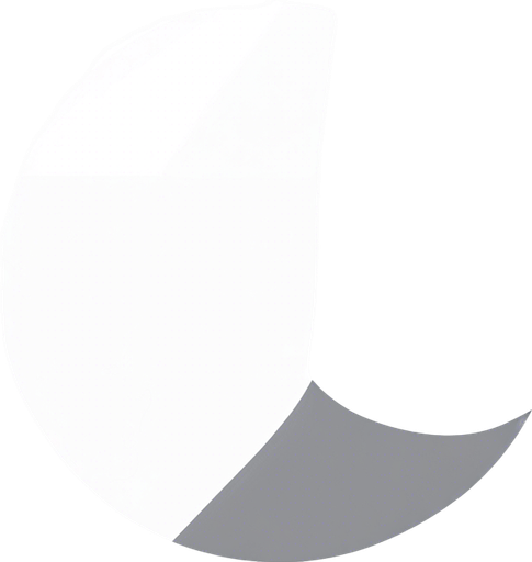 same image but all white