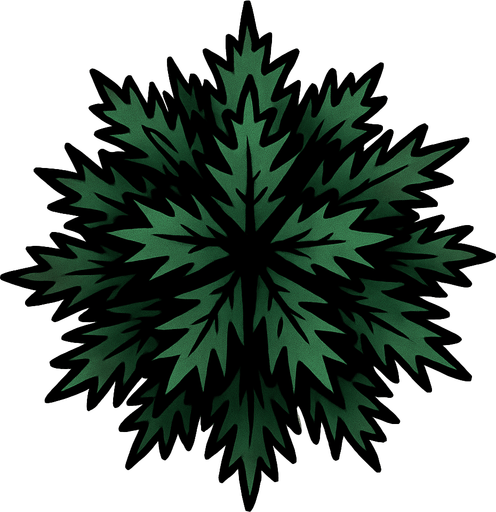 pine tree seen from above.
In-Game asset.  2d.  High contrast.  No shadows