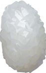 One white grain of rice