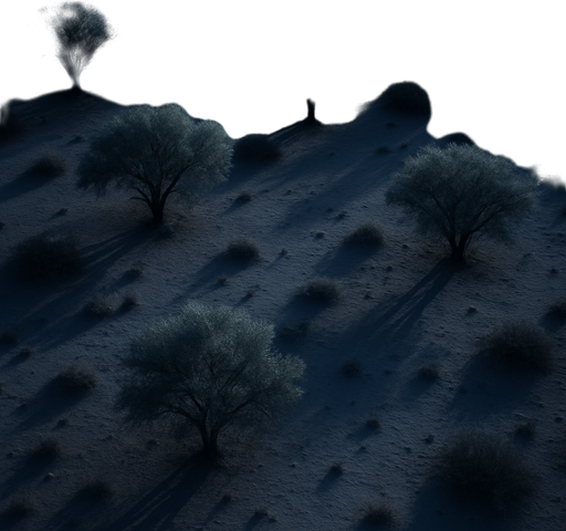 Photorealistic desert trees at night, bird view