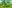 game-post-background