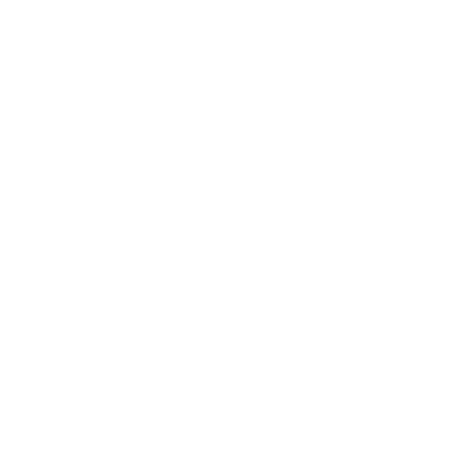 A car crash effect,red,yellow and orange colors,put the outer side black line. No background. Transparent background. Blank background. No shadows. 2d. In-Game asset. flat