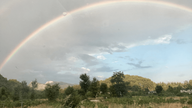 game-community-background