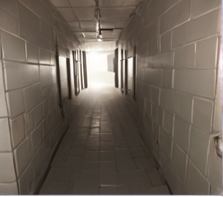 An empty cell.