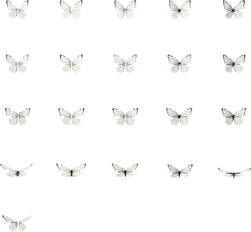 detailled frames of a White butterfly flight.
Zenith view. Grid of frames. Blank background.