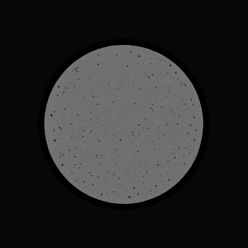 gri bir yuvarlak.
In-Game asset.  2d.  High contrast.  No shadows