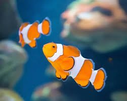 user-community-background