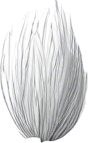 Long thin grain of rice