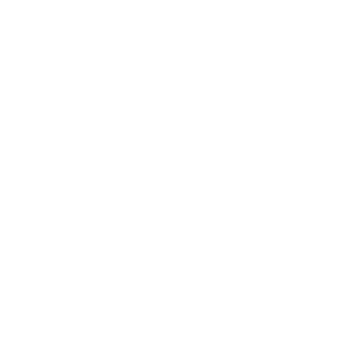 It will be a round ball surrounded by thorns. It will have the words 2025 YKS written on it. The ball will look realistic.Let there be fires around it. Let the writing on it be black and thick.

. No background. Transparent background. Blank background. No shadows. 2d. In-Game asset. flat