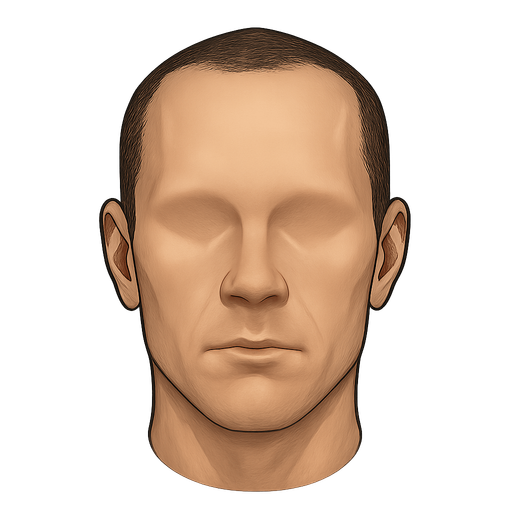 realistic face with no eyes or mouth.
In-Game asset.  2d.  High contrast.  No shadows