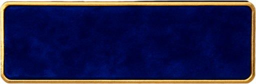 Keep this shape but change the material to a royal blue velvet with a golden border around it.