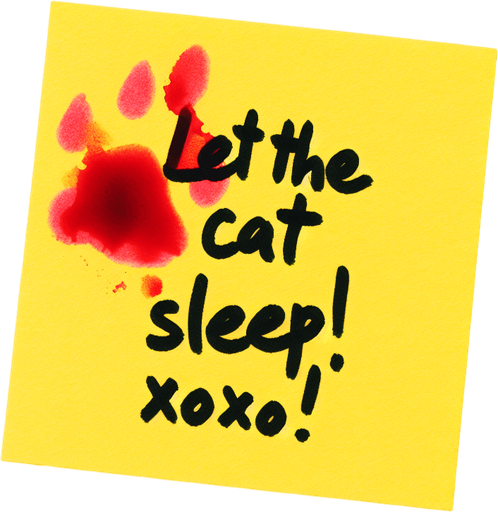 yellow stickyNote with
 "Let the cat sleep!
Xoxo!" text and a red-stain.