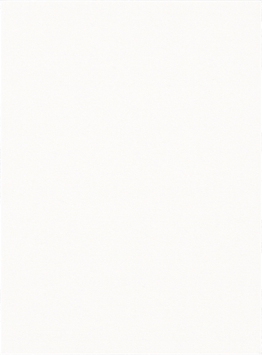 a 2:3 format thin black border with nothing in the center.
In-Game asset.  2d.  High contrast.  No shadows